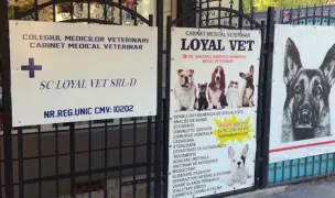 Loyal Vet Cabinet Medical Veterinar - Dr. Vărzaru Andreea Anamaria — Cabinete Veterinare, Craiova, Dolj