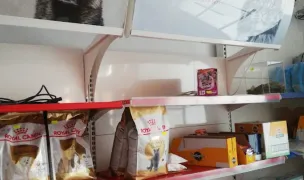 Lucky Dog Pet Shop — Pet Shop, Municipiul Arad, Arad