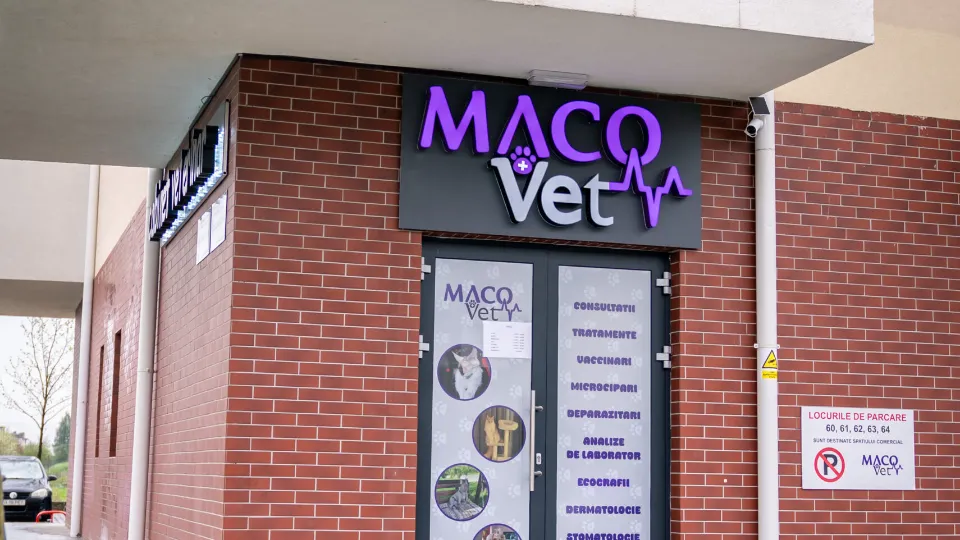 MacoVet - cabinet veterinar — fotografie de copertă
