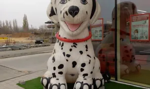Maxi Pet Craiova Electroputere - Pet Shop & Farmacie Veterinară — Pet Shop, Craiova, Dolj