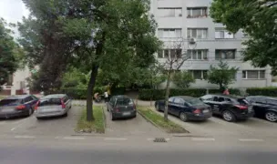 Maya's — Pet Shop, Timișoara