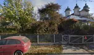 MEDIVET S.R.L. — Cabinete Veterinare, Dorohoi, Botoșani