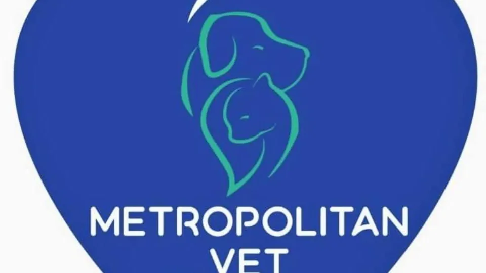 Metropolitan Vet — fotografie de copertă