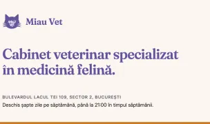 Miau Vet — Cabinete Veterinare, Sectorul 2, București