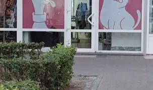 Micibau — Pet Shop, Municipiul Iași, Iași