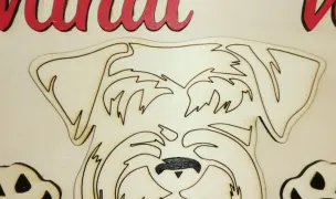 Mihai's Vet SRL — Chirurgie Veterinară, Domnești, Ilfov