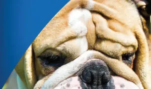 Natura Vet — Cabinete Veterinare, Sectorul 2, București