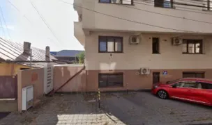 Nory Pet Care — Pet Sitting la Domiciliu, Sectorul 1, București