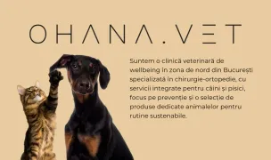 Ohana Vet - cabinet veterinar | wellbeing & chirurgie-ortopedie — Spitale Veterinare, Sectorul 1, București