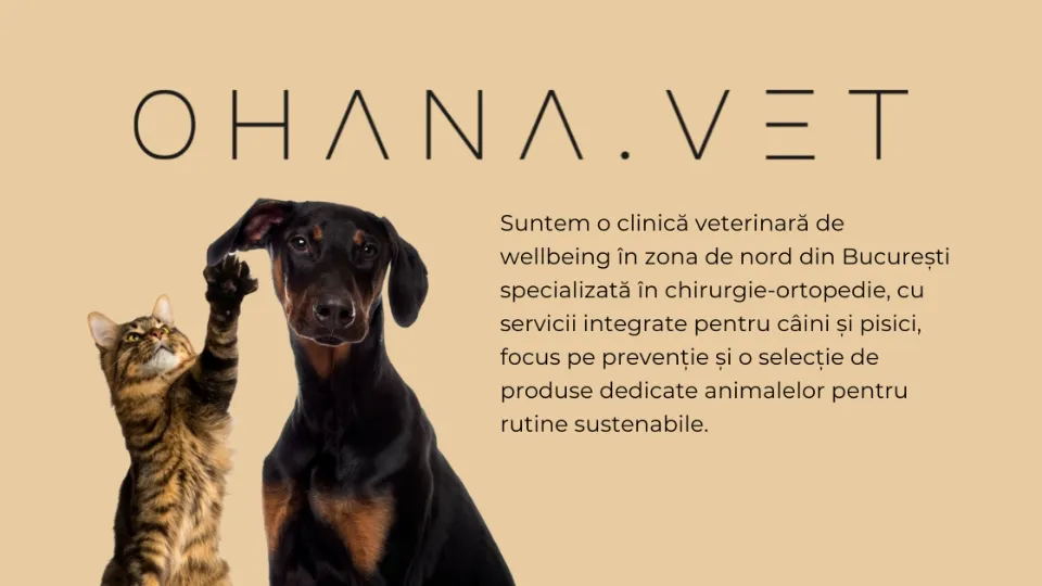 Ohana Vet - cabinet veterinar | wellbeing & chirurgie-ortopedie — fotografie de copertă