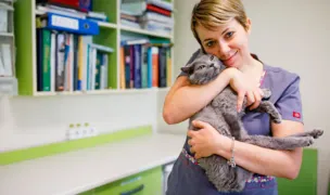 OncoVet — Cabinete Veterinare, Sectorul 2, București
