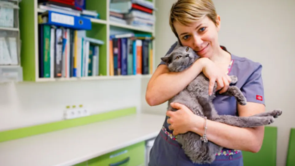 OncoVet — fotografie de copertă