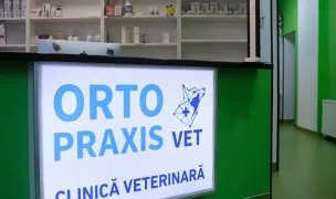 ORTO-PRAXIS VET — Ortopedie Veterinară, Sectorul 2, București