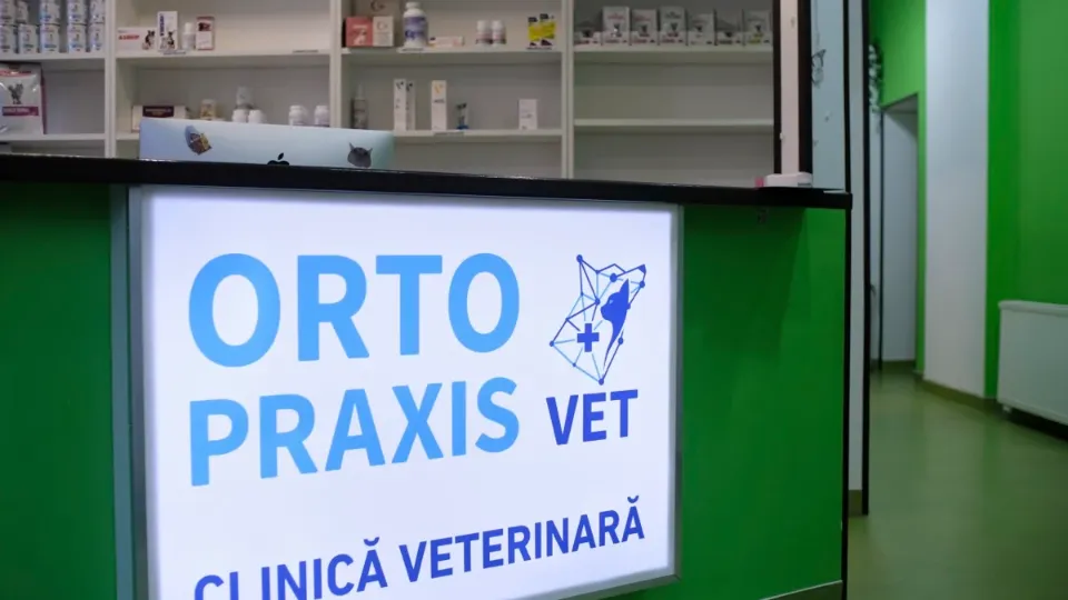 ORTO-PRAXIS VET — fotografie de copertă