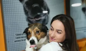 Paf Vet — Cabinete Veterinare, Sectorul 3, București