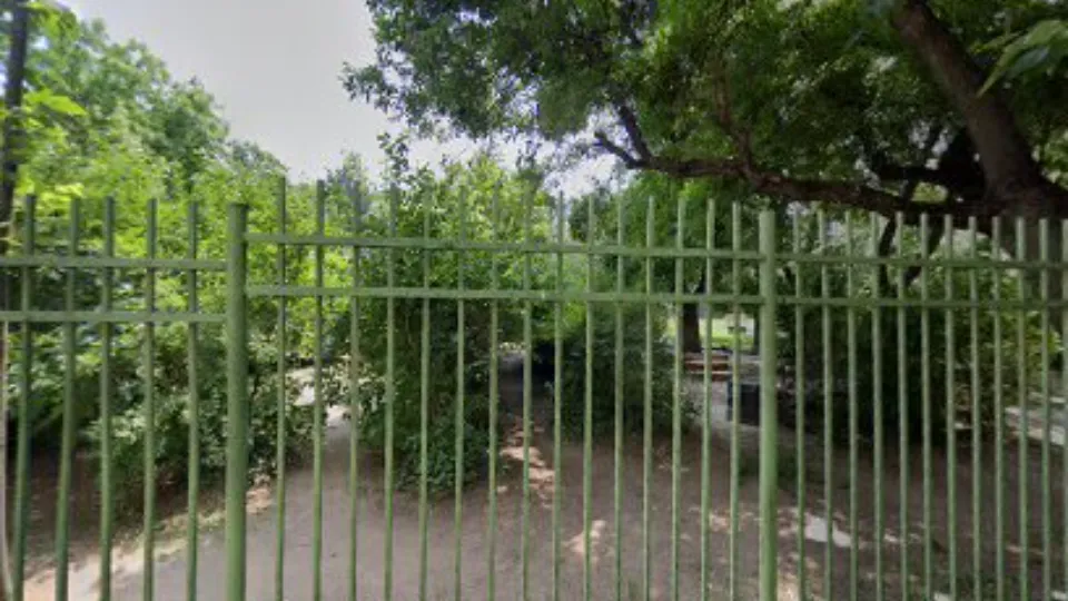 Parcul "Caini" — fotografie de copertă