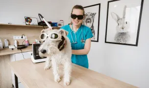 PartnerVet Sibiu Bieltz | SkyVet — Cabinete Veterinare, Municipiul Sibiu, Sibiu