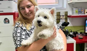 PartnerVet Timișoara | DuoVet — Veterinary Practices, Timișoara