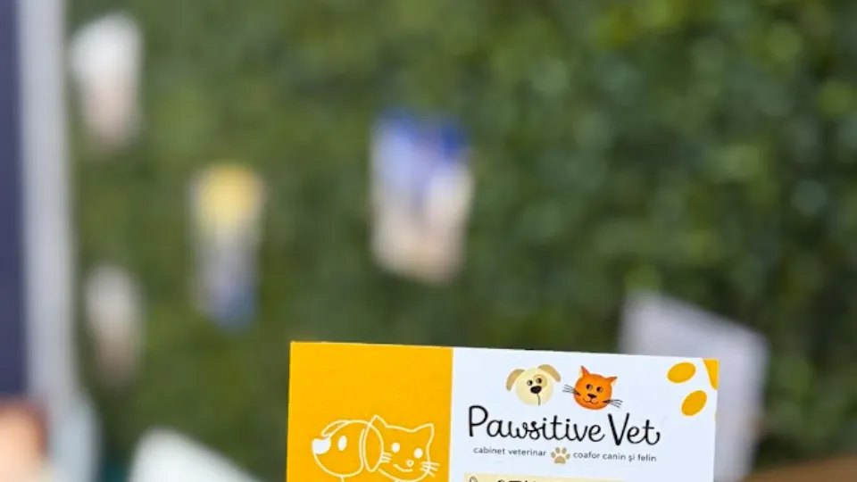 Pawsitive Vet — fotografie de copertă