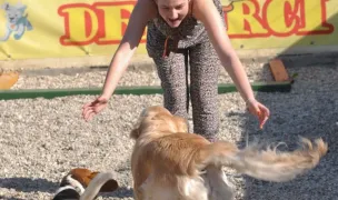 Pensiunea Canină Delarci — Dog & Cat Boarding, Moșnița Veche, Timișoara