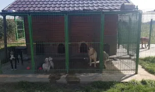 Pensiunea Happy Dog Santandrei — Hoteluri pentru Animale, Sântandrei, Bihor