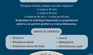 Pet Sitter Mangalia — In-Home Pet Sitting, Mangalia