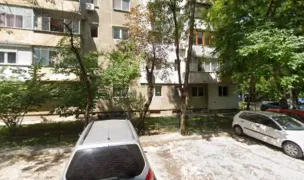 Pet Sitting by Roxana — Pet Sitting la Domiciliu, Sectorul 4, București