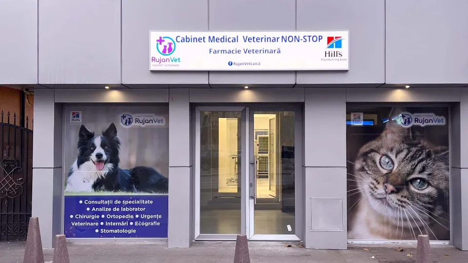 Rujan Vet - Cabinet veterinar non-stop Sector 4, Farmacie — fotografie de copertă