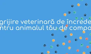 RujanVet — Cabinete Veterinare, Berceni, Ilfov
