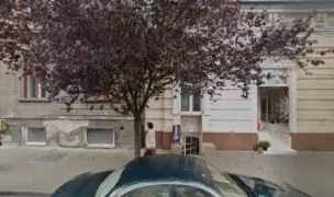 Salon canin Animo — Salon Câini & Pisici, Municipiul Arad, Arad