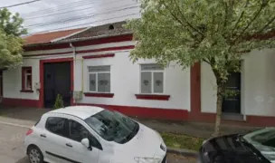 Salon canin Puppy Loft Timisoara — Dog & Cat Salon, Timișoara