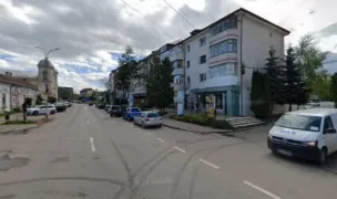 SALVATI ANIMALELE — Adăposturi Animale, Rădăuți, Suceava
