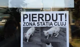 Supreme's PET SHOP — Pet Shop, Municipiul Arad, Arad