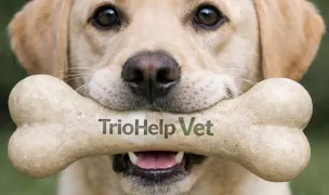 TrioHelp Vet — Spitale Veterinare, Sectorul 3, București