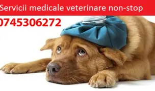 Urgente Veterinare Iasi — Cabinete Veterinare, Municipiul Iași, Iași
