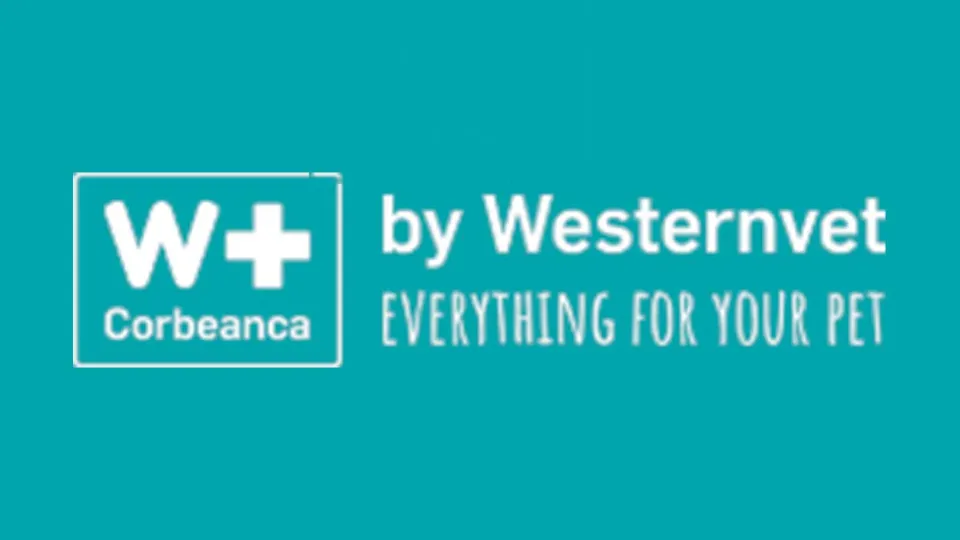 Vet Corbeanca by Westernvet — fotografie de copertă