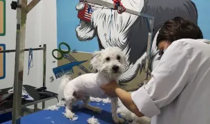 Vet & Pet Centre — Farmacii Veterinare, Craiova, Dolj