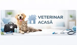 Veterinar Acasa - Veterinar la domiciliu — Cabinete Veterinare, Voluntari, Ilfov