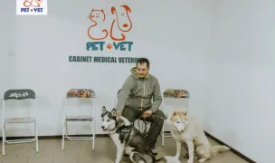 Veterinary clinic PetVet Oradea — Cabinete Veterinare, Oradea, Bihor