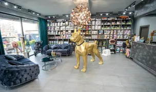 Vetlife — Chirurgie Veterinară, Ștefăneștii de Jos, Ilfov