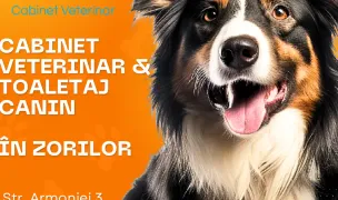 Vetricare - Cabinet Veterinar — Cabinete Veterinare, Cluj-Napoca, Cluj