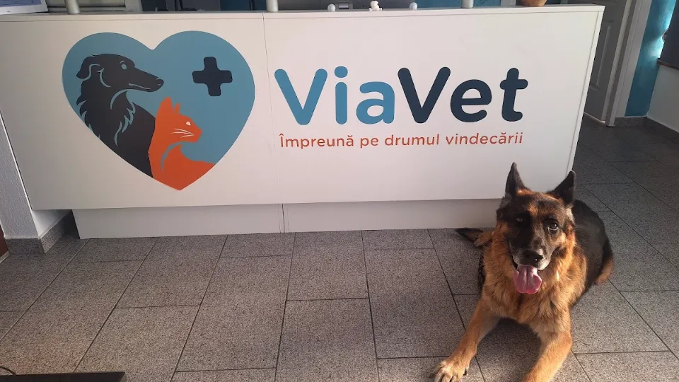 ViaVet - Cabinet veterinar — fotografie de copertă
