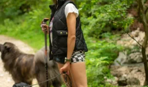 Yoolia - Dog Behaviorist — Dresaj Animale, Popești-Leordeni, Ilfov