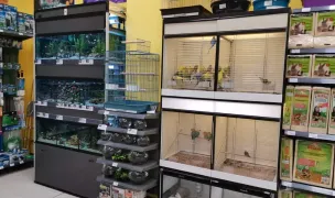 Zoomania Caracal — Pet Shop, Caracal, Olt