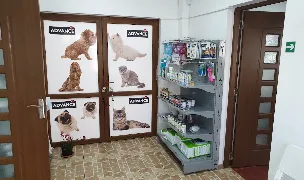 Fotografia de copertă a listării