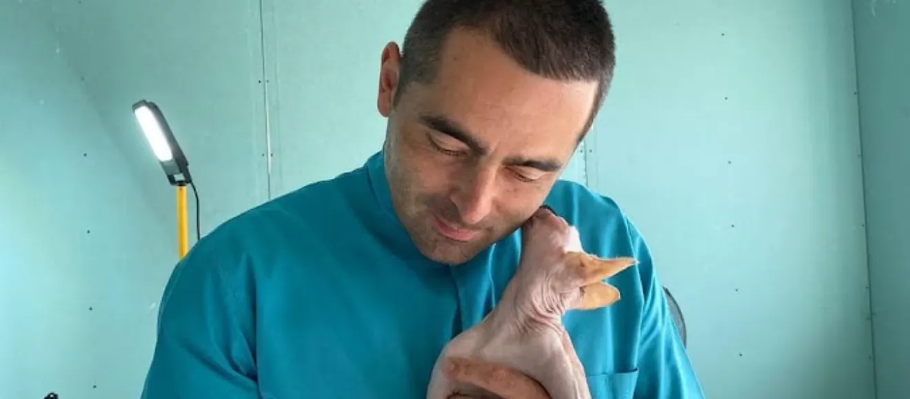 Veterinary offices Dr.Sibisan Nicholas — fotografie de copertă