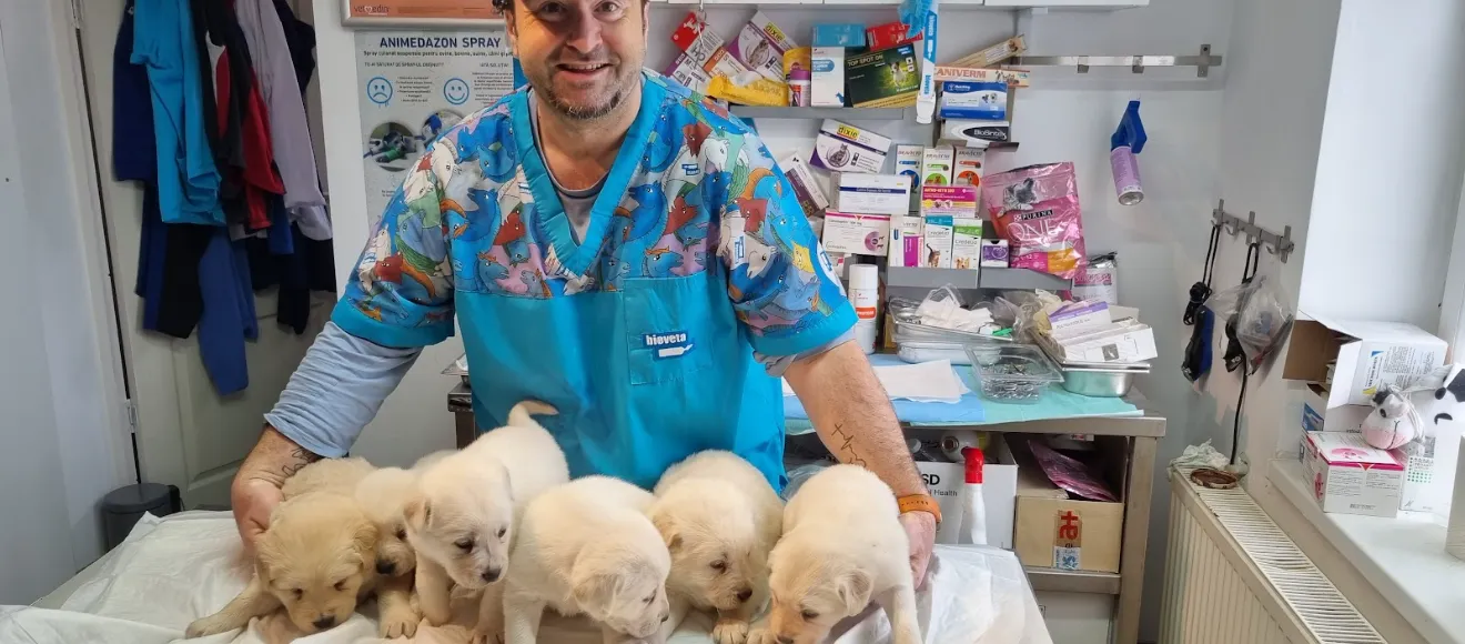 Asistență Veterinară Simeria Dr.Gorneanu — fotografie de copertă