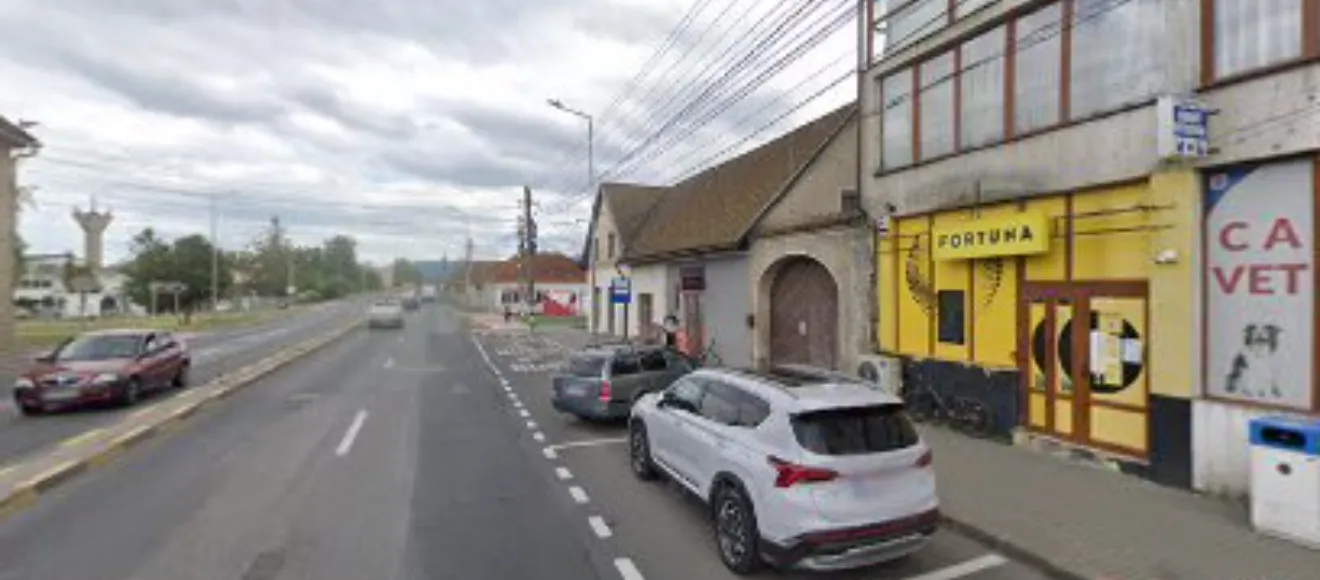 Creative Vet Zone — fotografie de copertă