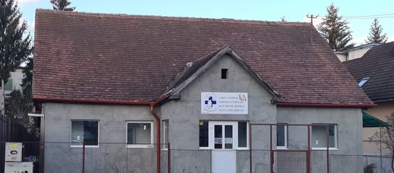 Vet Sovata — fotografie de copertă