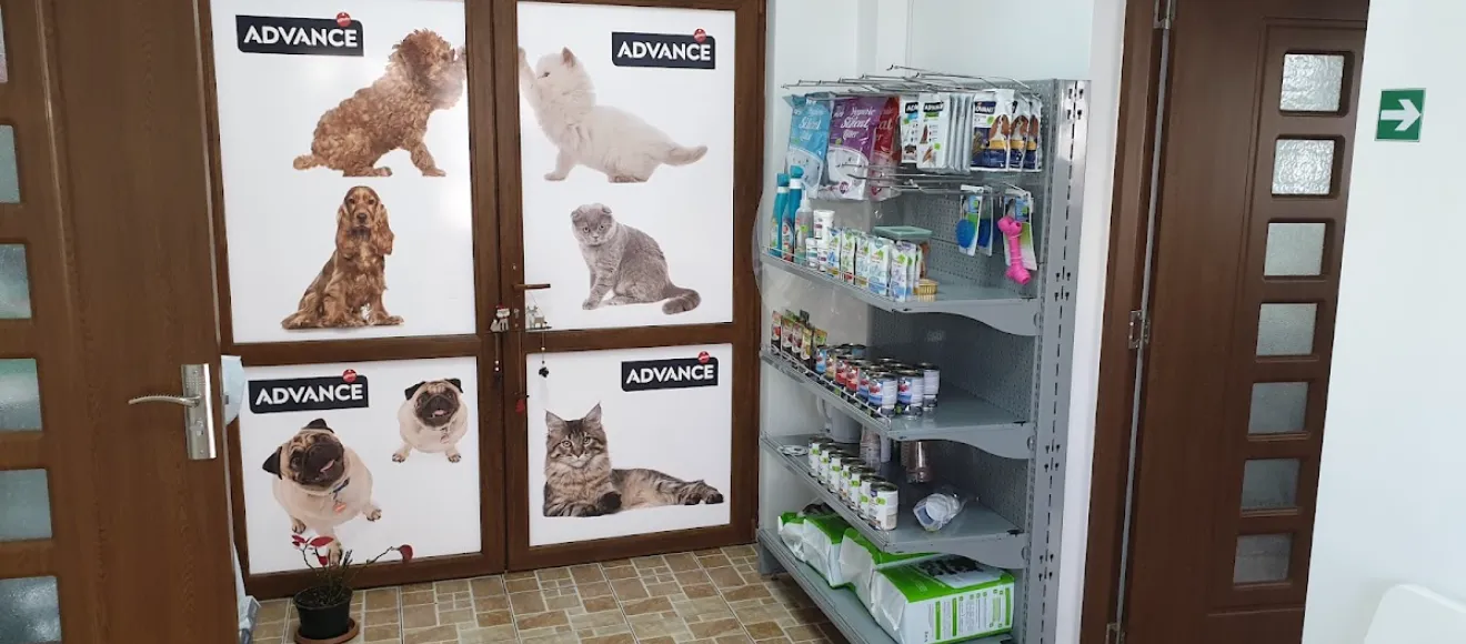 Genesis Vet — fotografie de copertă